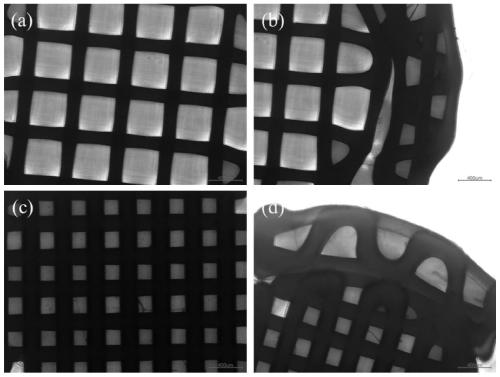 3D-printed multi-structure bone composite scaffold