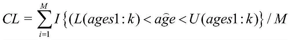 Dynamic interval-based face age estimation method