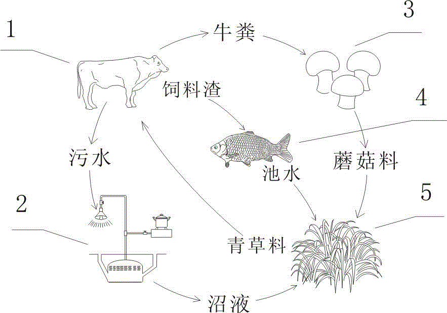 Three-dimensional circulating planting and breeding technology