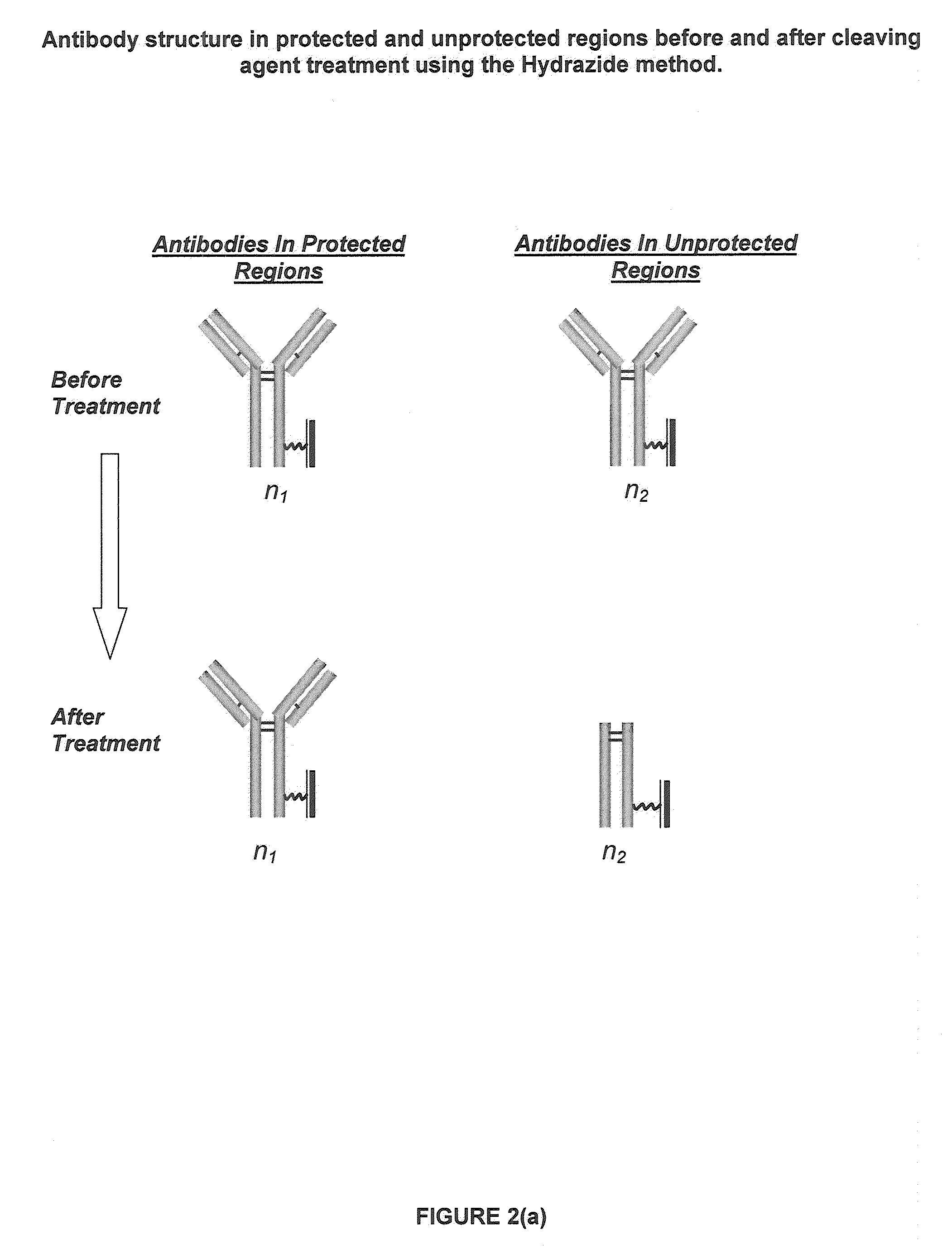 Restricted Access Media and Methods for Making Restricted Access Media