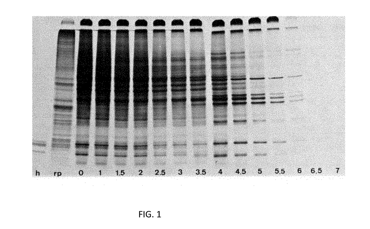 Production of fmdv-resistant livestock by allele substitution