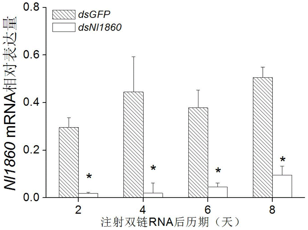 Brown planthopper gene Nl1860 as well as encoding product and application thereof