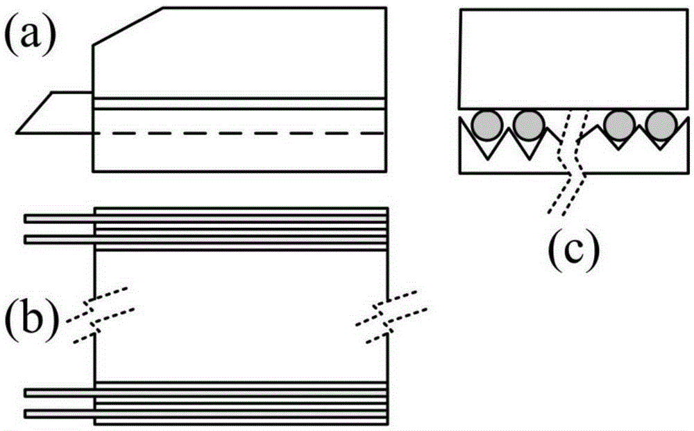 Optical fiber coupling module