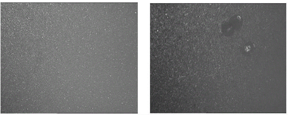 Flexible pyroelectric thin film device