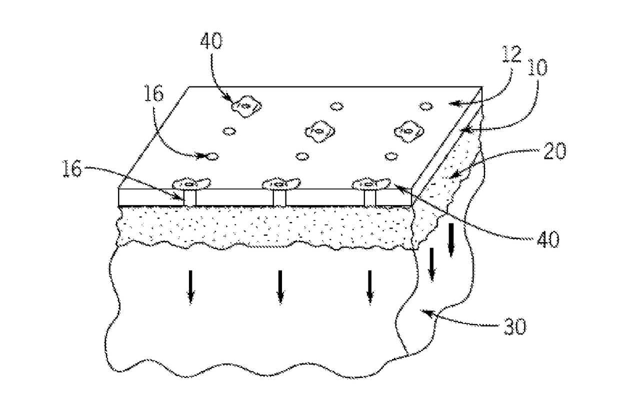 Single cell capture with capture chips