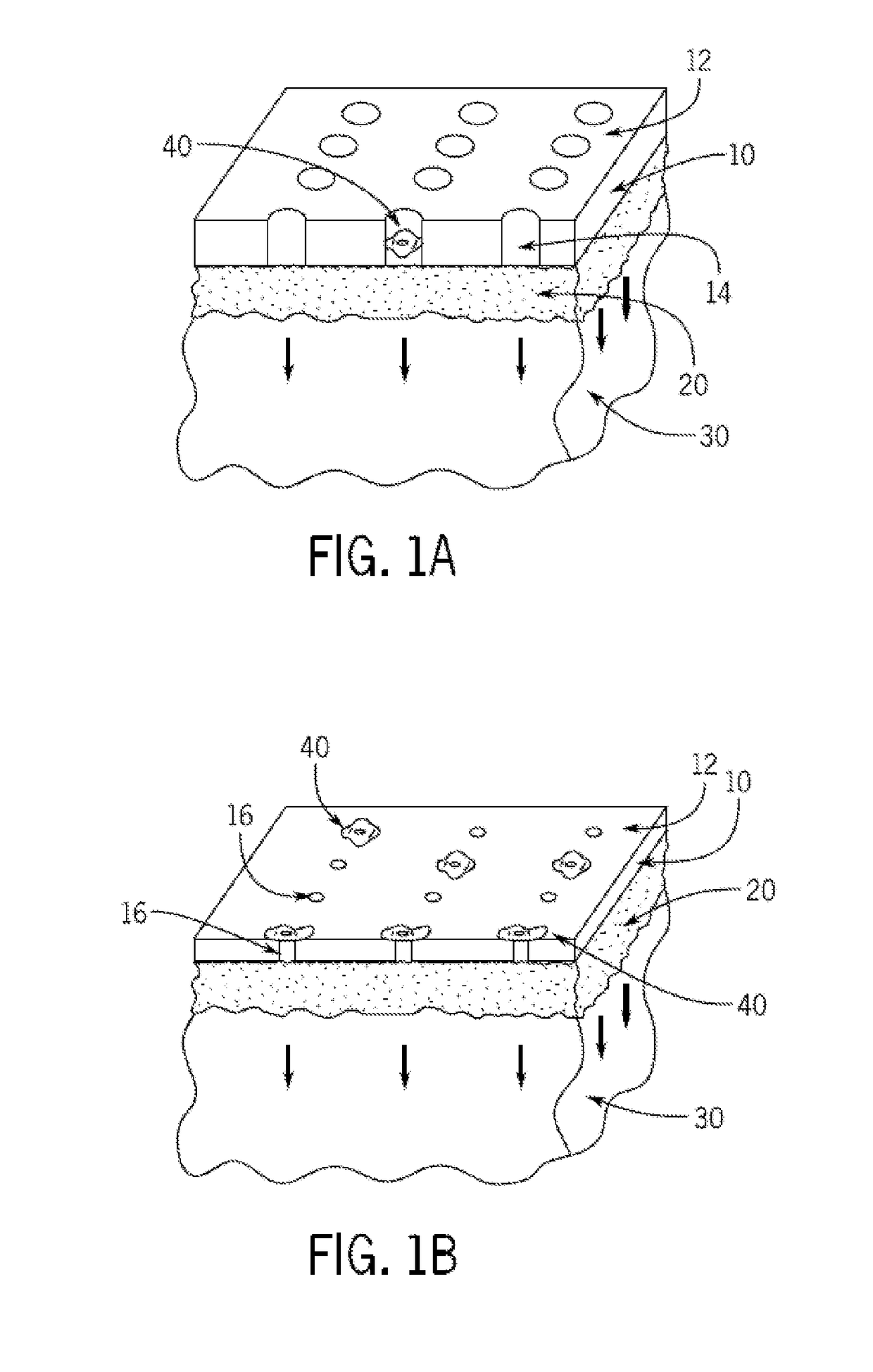 Single cell capture with capture chips