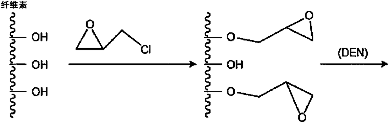 Water-soluble fertilizer containing carbon-enzyme polypeptide and preparation method of water-soluble fertilizer