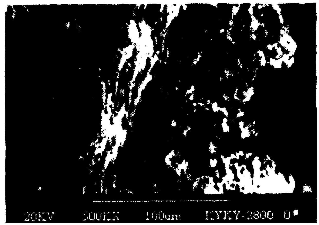 Water-soluble fertilizer containing carbon-enzyme polypeptide and preparation method of water-soluble fertilizer