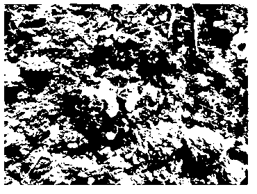 Cabbage type rape herbicide resistance protein and application thereof to plant breeding