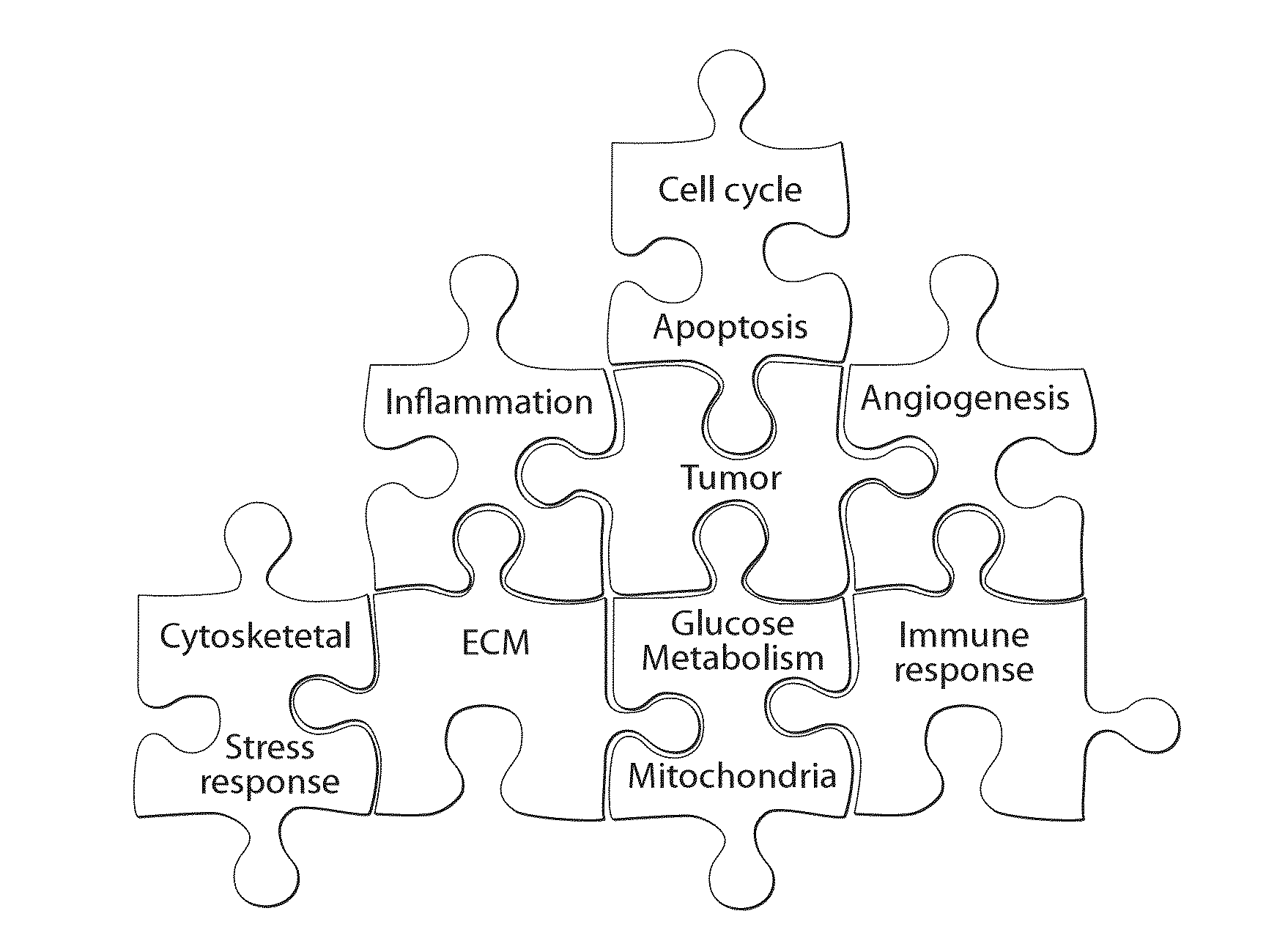 Interrogatory cell-based assays and uses thereof