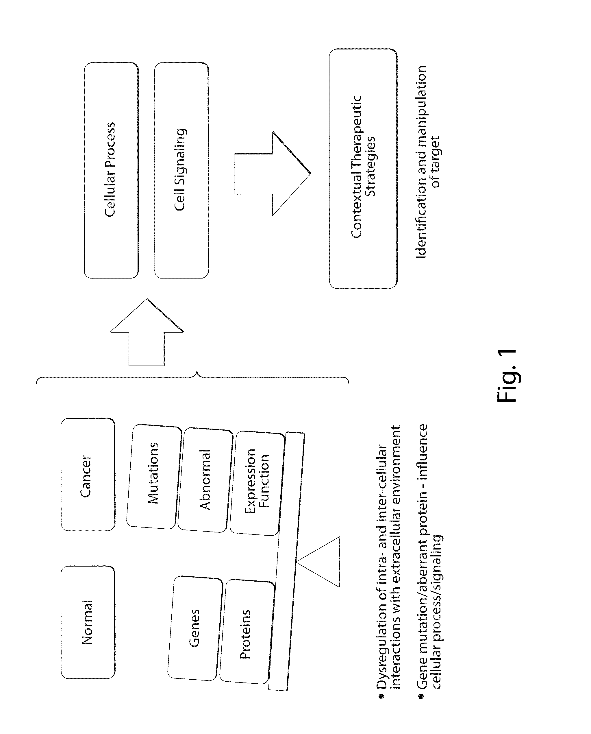 Interrogatory cell-based assays and uses thereof