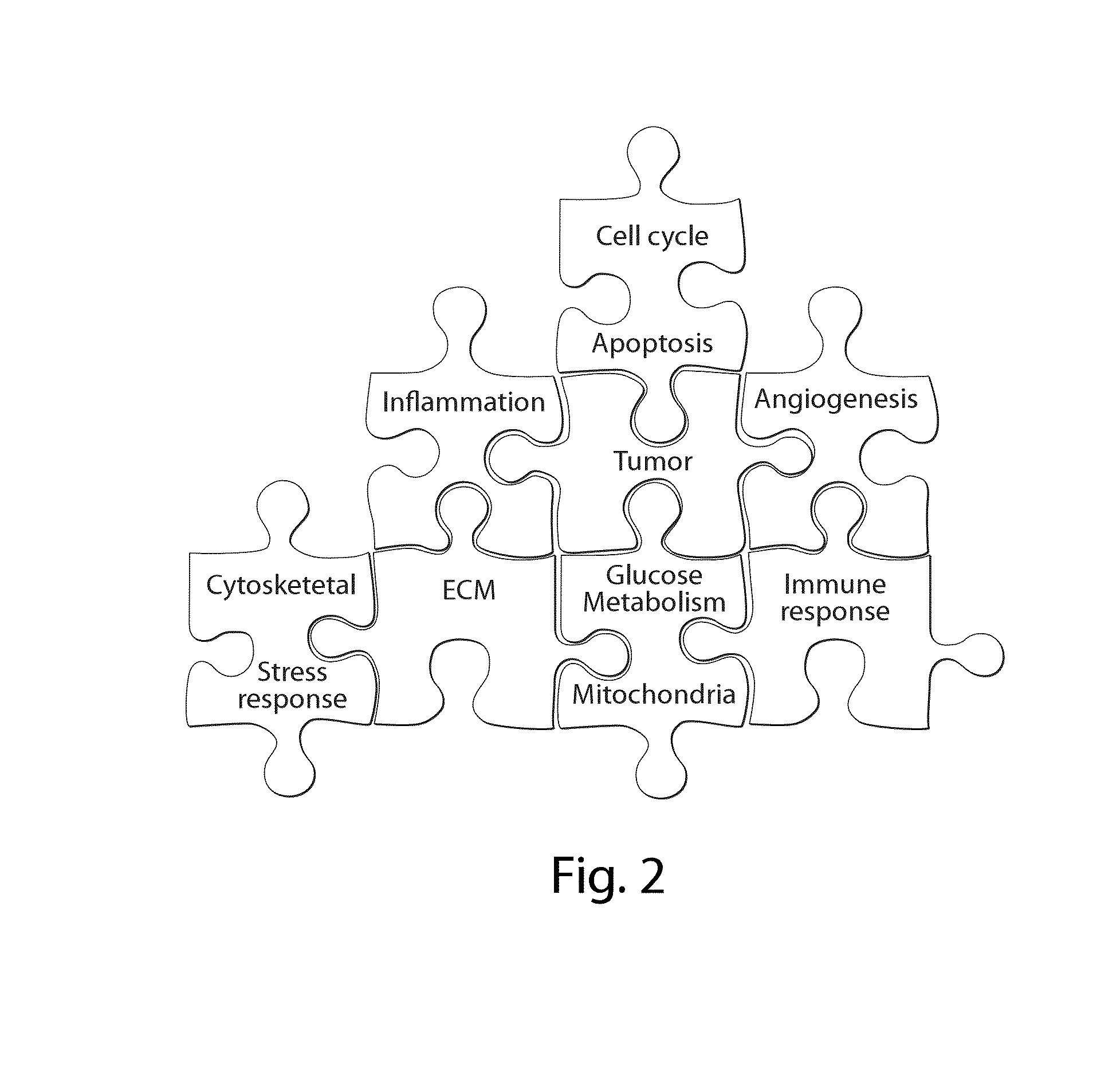 Interrogatory cell-based assays and uses thereof