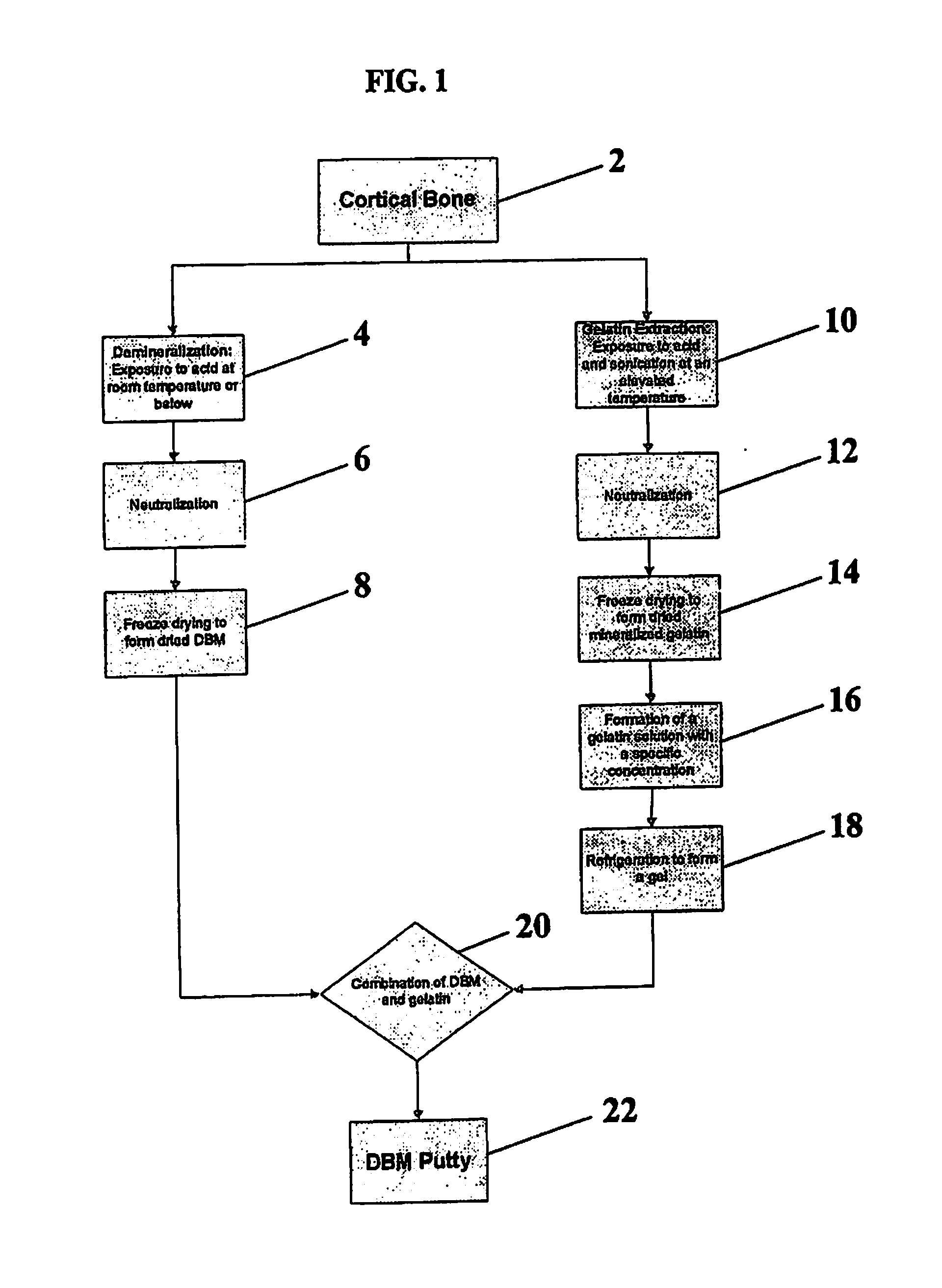 Bone Graft Materials Derived from Mineralized Gelatin