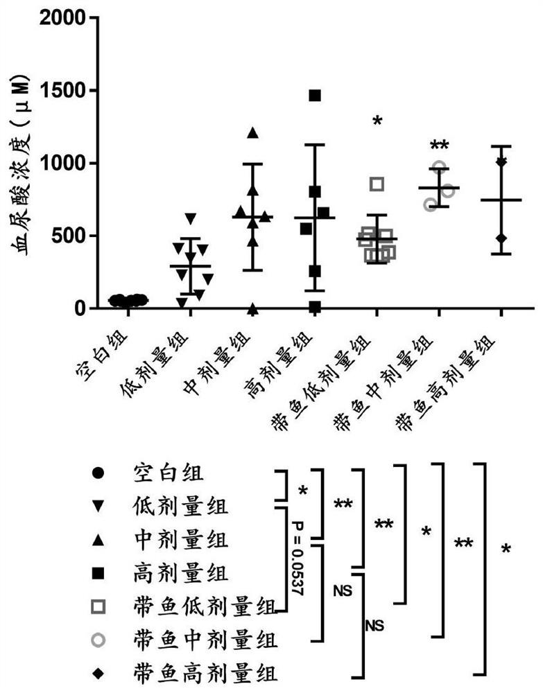 A kind of construction method of acute hyperuricemia mouse model