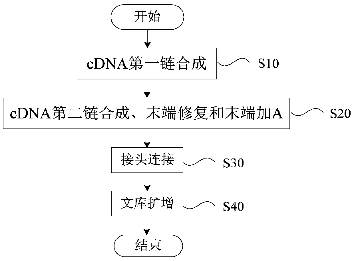 Method and kit for constructing mRNA chain specific library