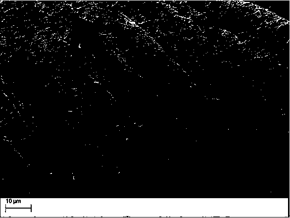 Conductive fabric and preparation method thereof