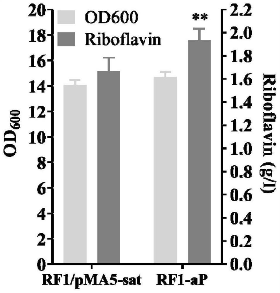 Genetically engineered bacterium for efficiently synthesizing riboflavin and application of genetically engineered bacterium