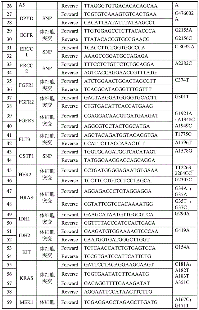 Primer, method and kit for constructing gene mutation sequencing library