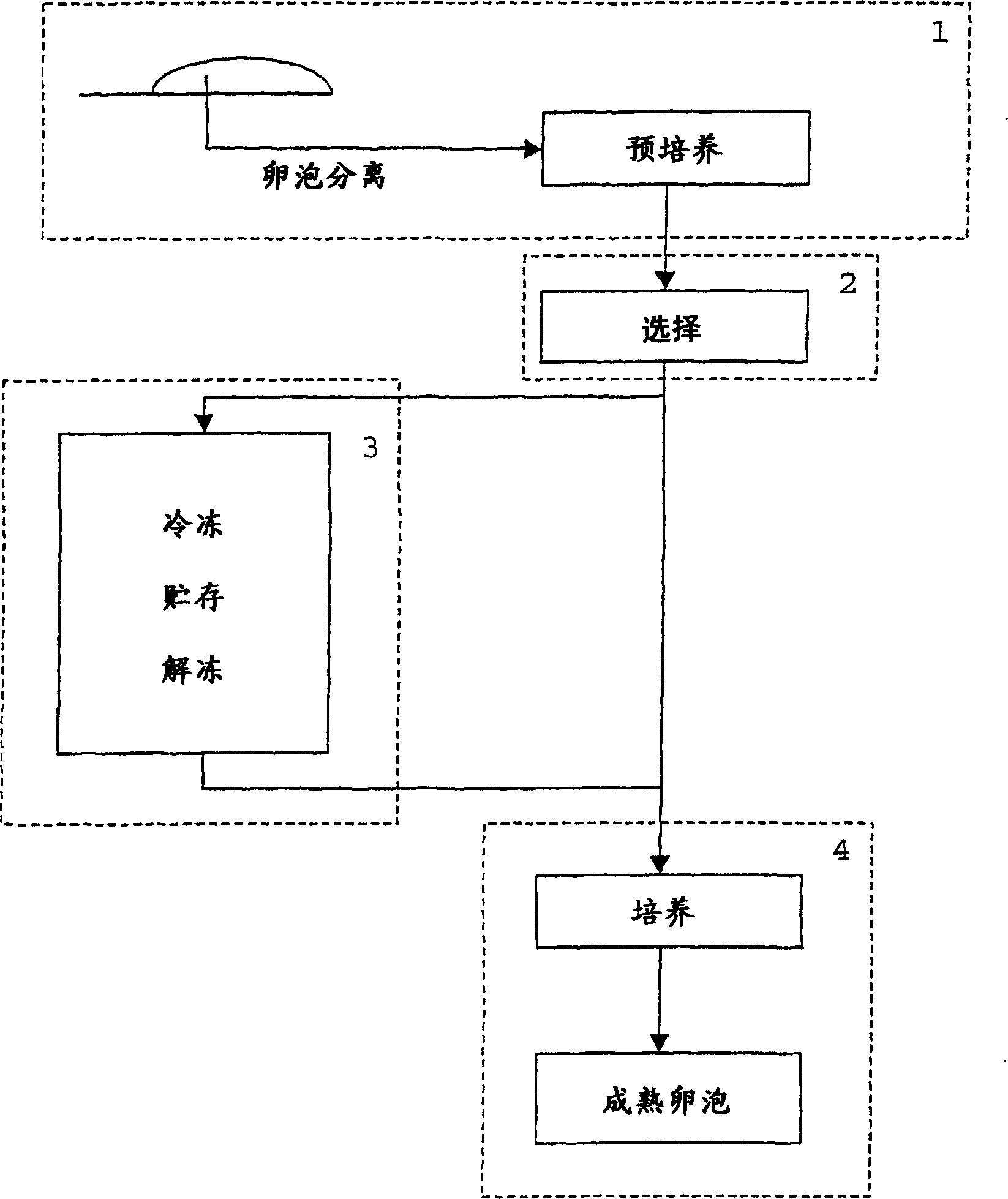 Method for in vitro culture of ovarian follicles