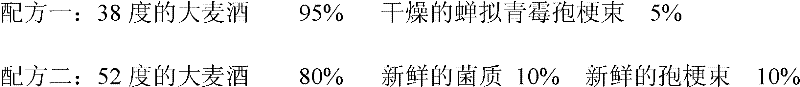 Cordyceps cicadae wine and preparation method thereof