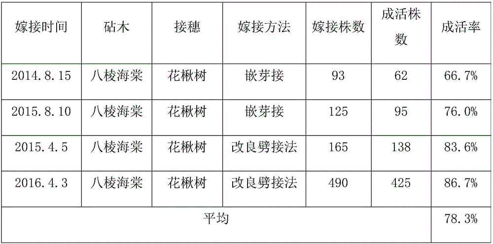 Sorbus pohuashanensis grafting method