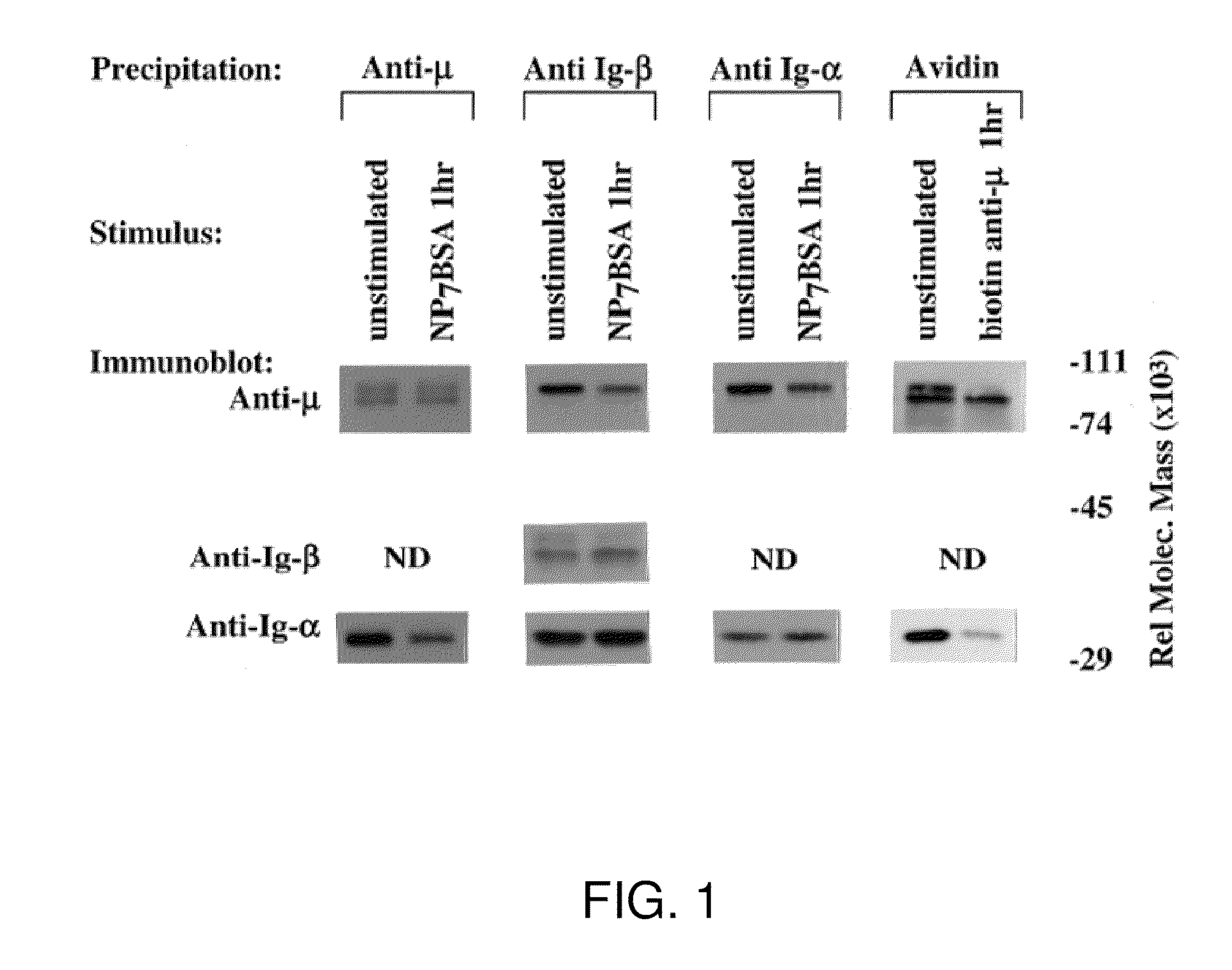 Product and method for treatment of conditions associated with receptor-desensitization