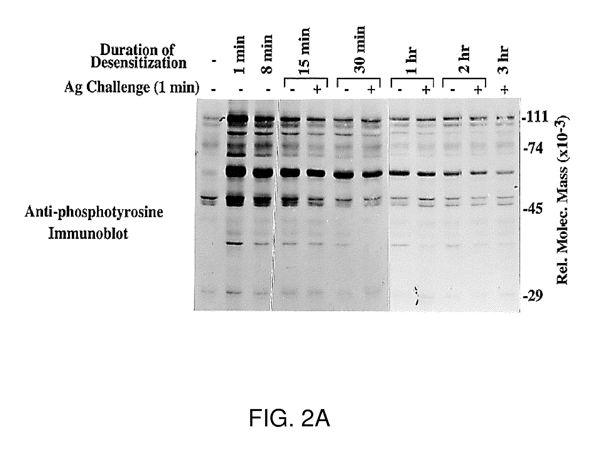 Product and method for treatment of conditions associated with receptor-desensitization