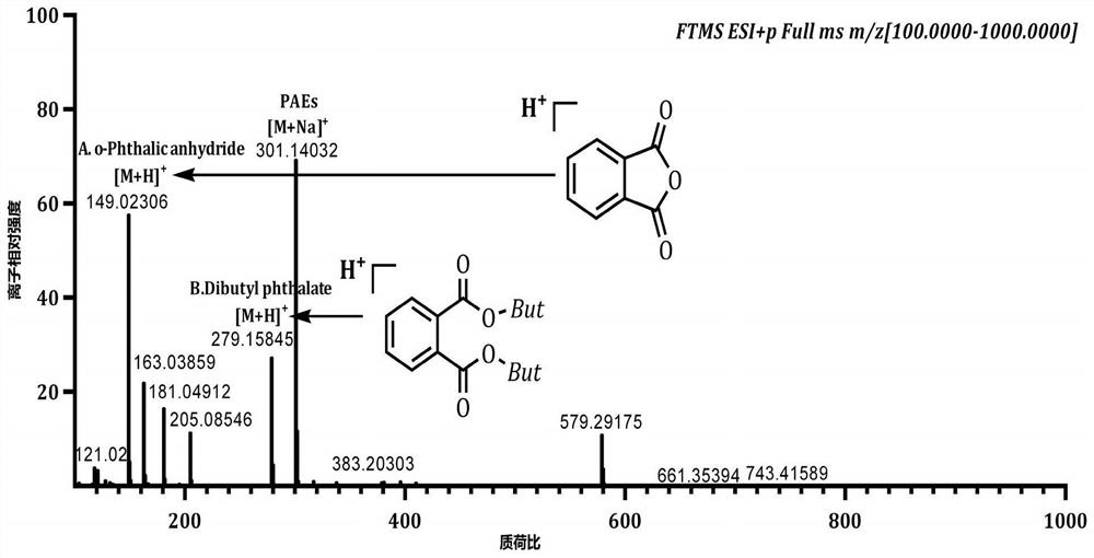 Synthetic method of eutectic solvent and method for extracting and purifying eleutheroside B