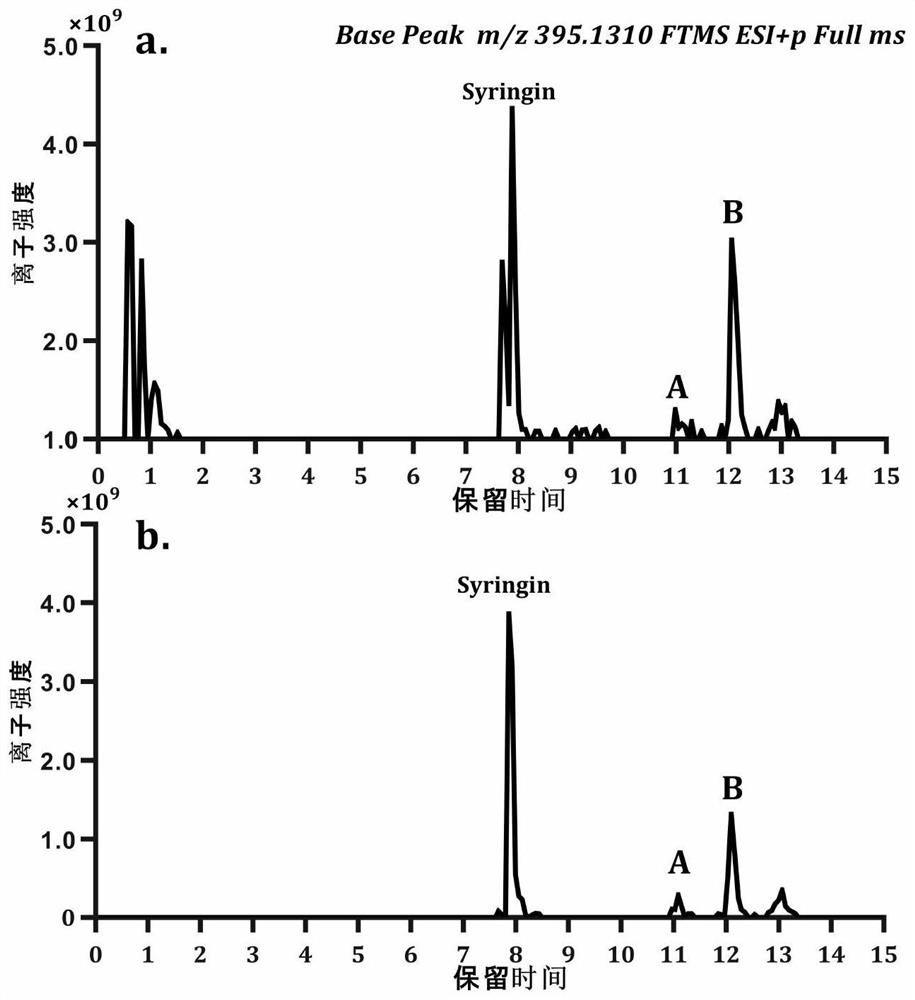 Synthetic method of eutectic solvent and method for extracting and purifying eleutheroside B