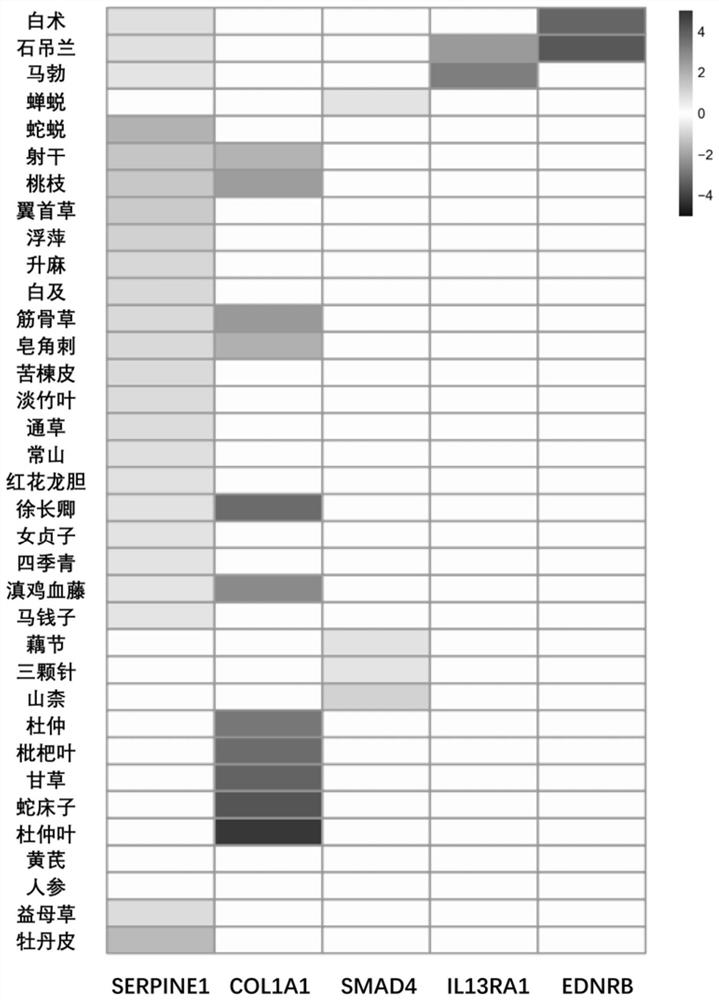 Drug against renal fibrosis and preparation method thereof