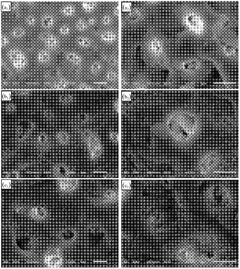 A kind of preparation method of degradable magnesium alloy implant material