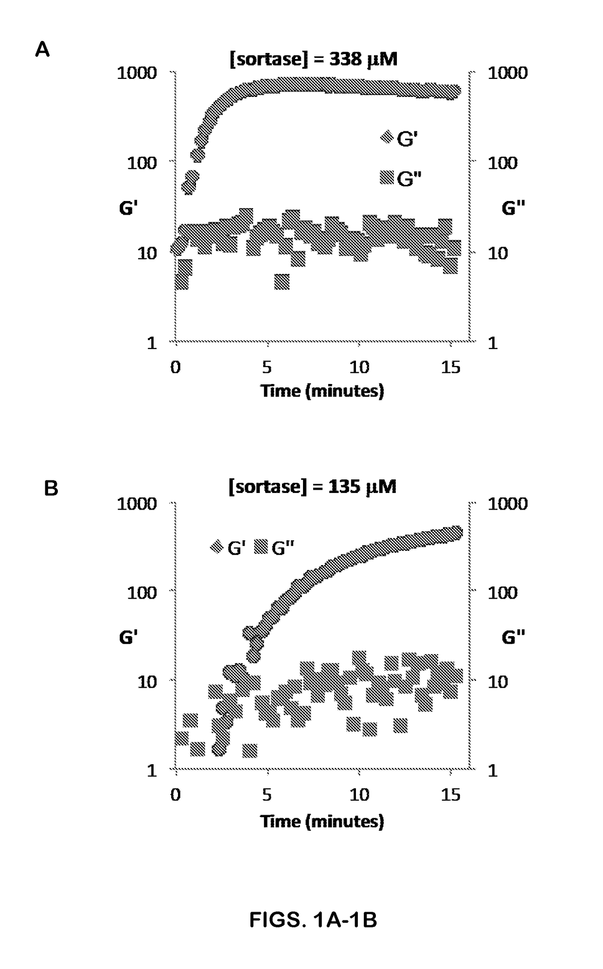 Hydrogel Comprising A Scaffold Macromer Crosslinked With A Peptide And A Recognition Motif