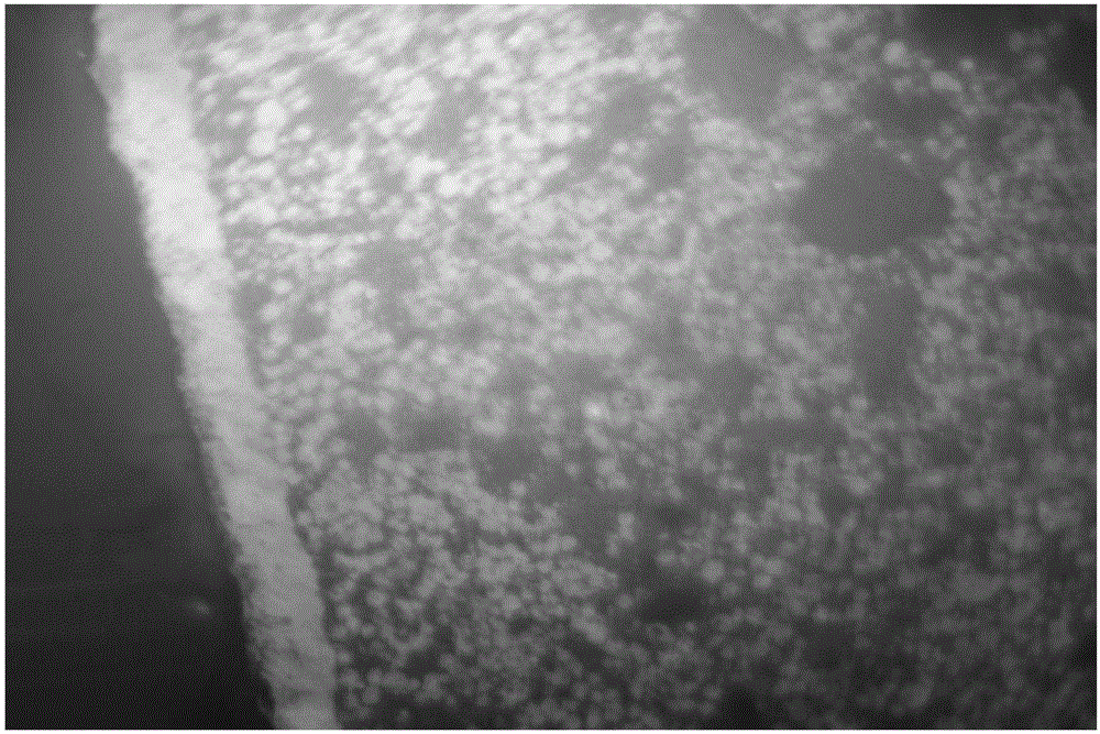 A kind of novel conductive glue and preparation method thereof