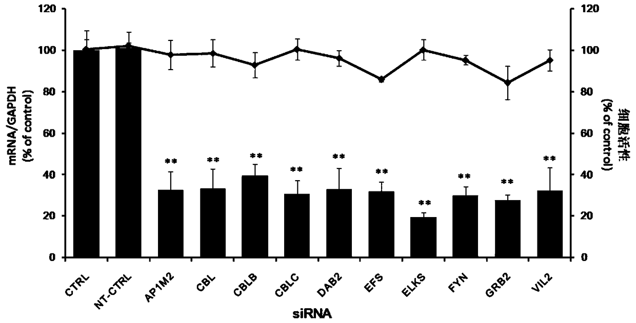 Application of embryonic fyn-related substrate efs in the prevention and treatment of enterovirus 71 infection