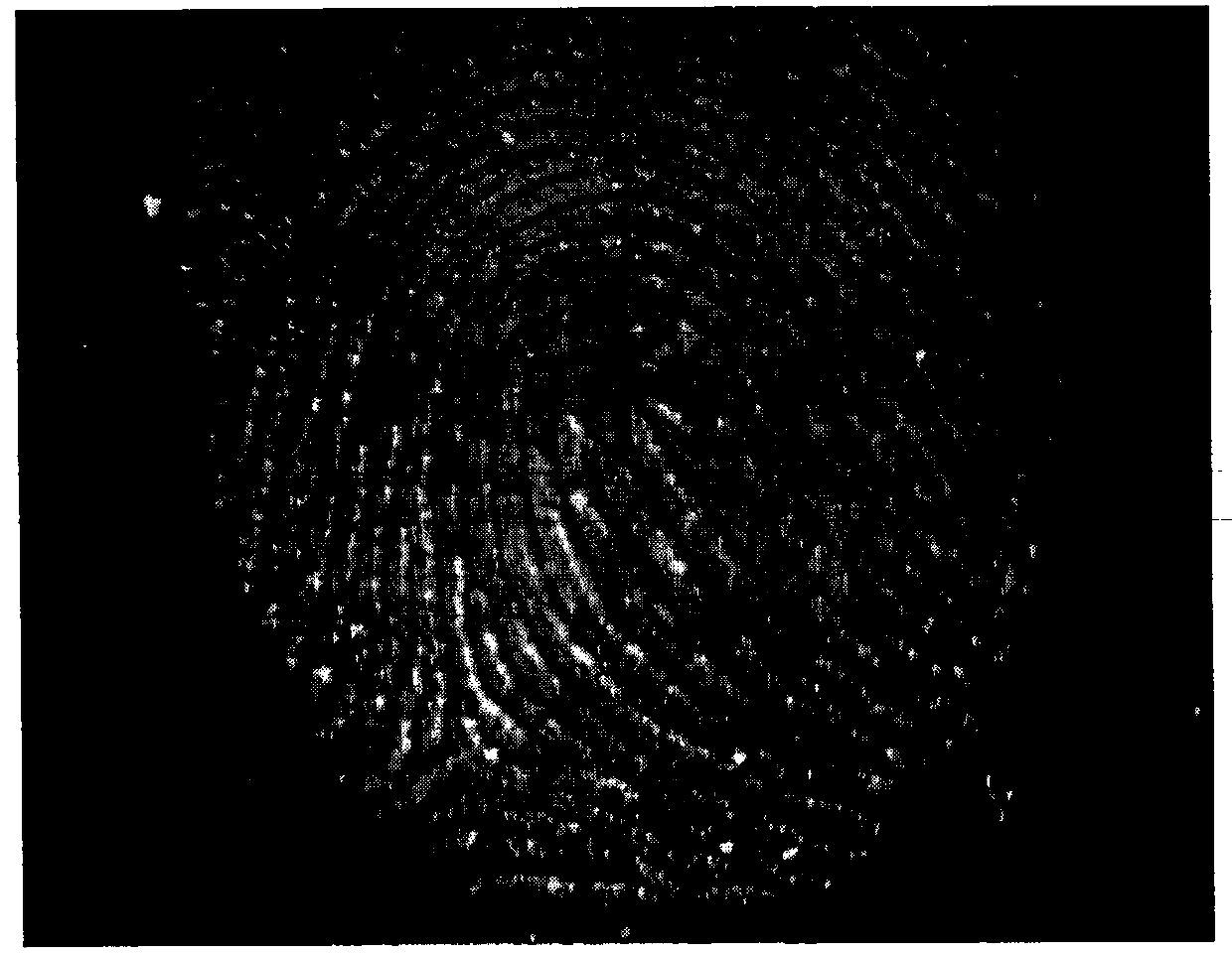 Novel latent fingerprint displaying method