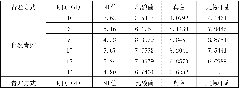 Applications of Lactobacillus plantarum in complete-strain Triticumspp silage