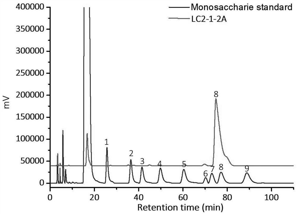 Ligusticum wallichii polysaccharide as well as preparation method, identification method and application thereof