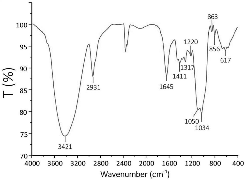 Ligusticum wallichii polysaccharide as well as preparation method, identification method and application thereof