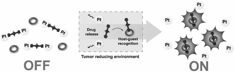 A molecular shuttle-based diagnostic nanomedicine