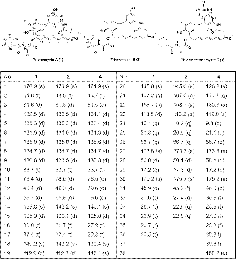 A mutant strain of Streptomyces flavum, its construction method and its use