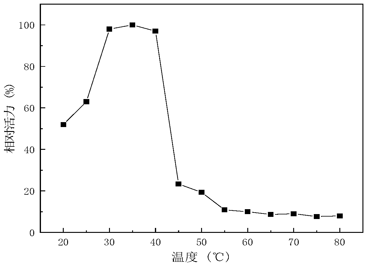 Lactobacillus plantarum for generating acid inulase and application of lactobacillus plantarum for generating acid inulase