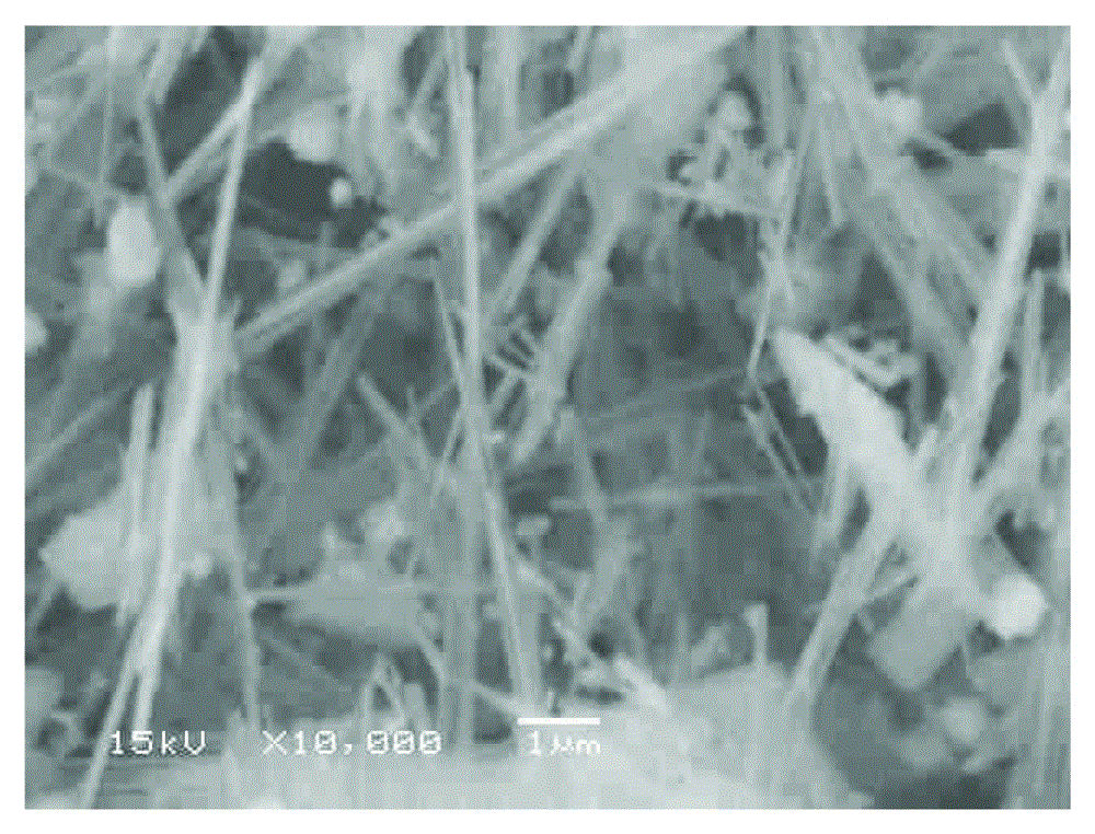 Method for processing vanadium-titanium magnetite concentrate by utilizing calcination, oxidation alkaline leaching, grading and gravity concentration