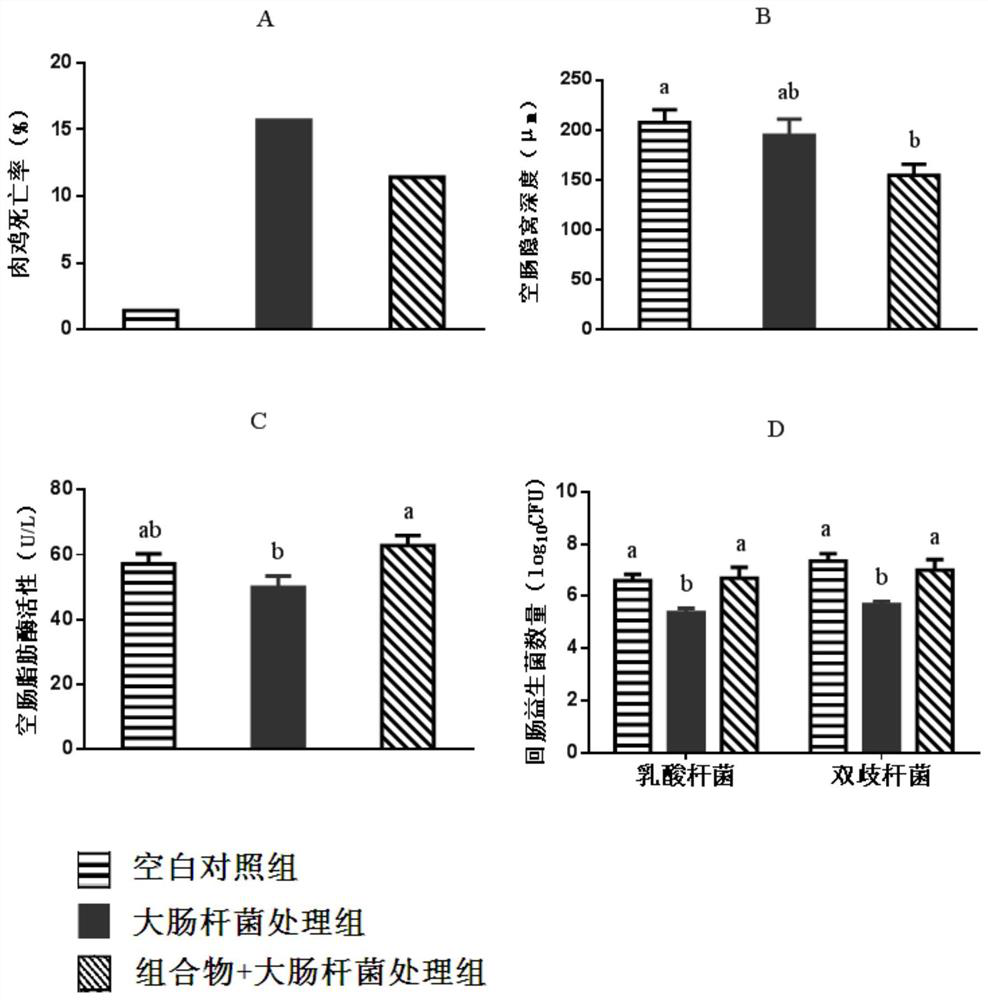 Application of composition in prevention or treatment of diseases caused by escherichia coli of broiler chickens