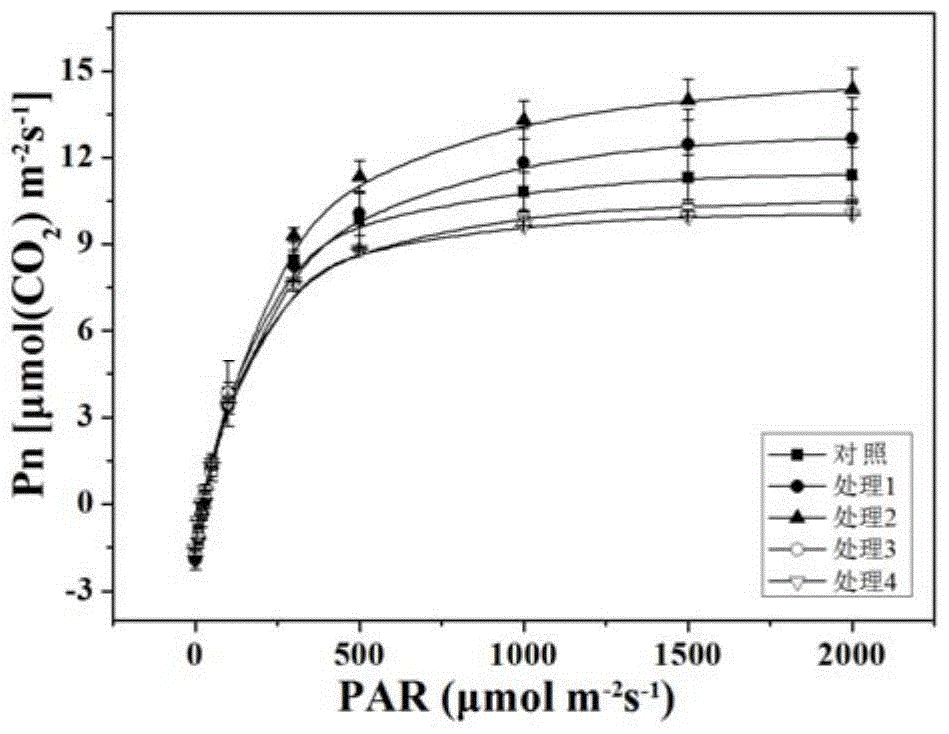 Research method of flower and fruit retaining effects of ilex verticillata by different growth regulators