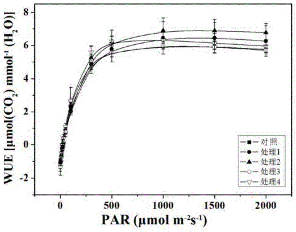 Research method of flower and fruit retaining effects of ilex verticillata by different growth regulators