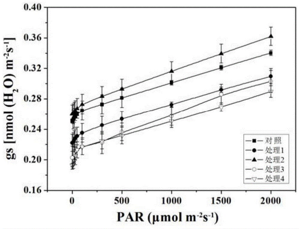 Research method of flower and fruit retaining effects of ilex verticillata by different growth regulators