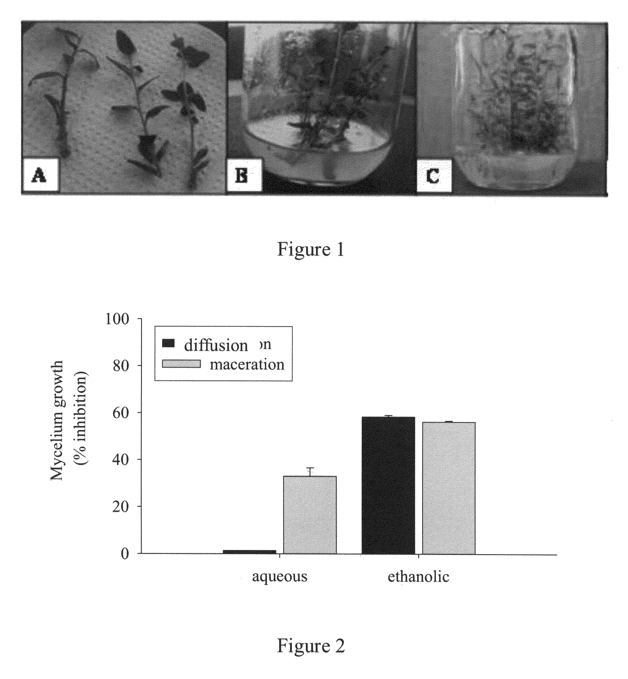 Natural extract for the control of botrytis cinerea at pre- and post-harvest