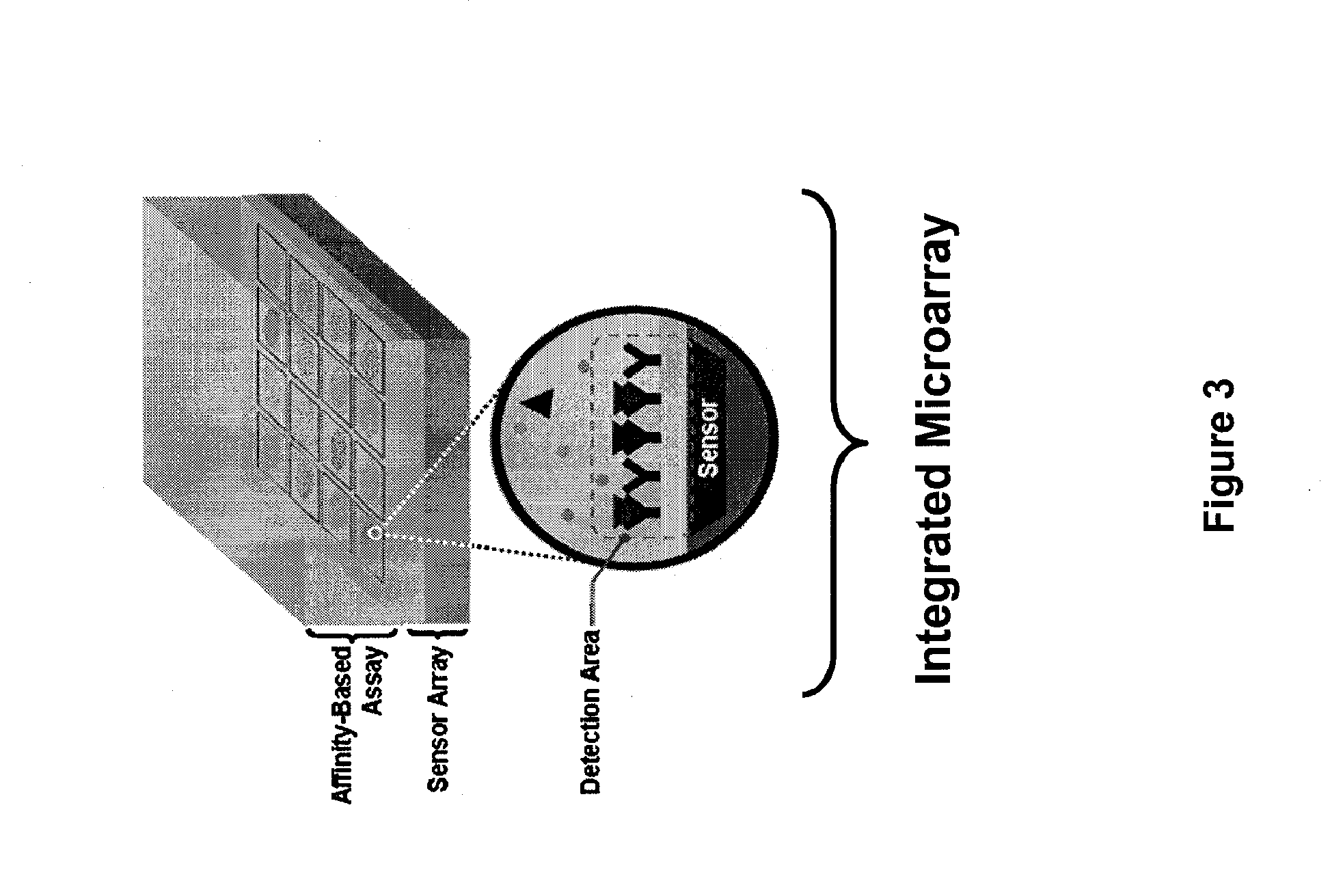 Integrated semiconductor bioarray