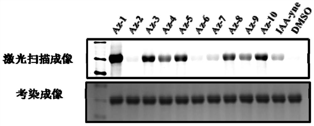 Azacyclopropene compound, and preparation method and application thereof