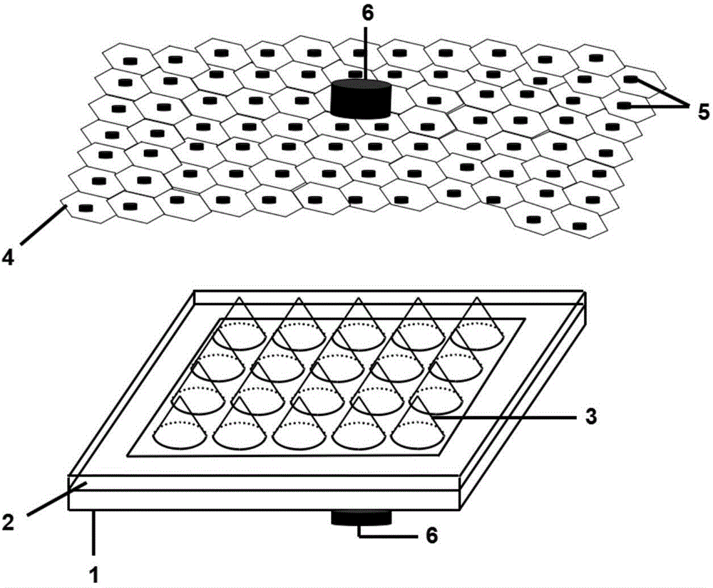 P-type graphene/N-type germanium nanocone array schottky junction infrared photoelectric detector and preparation method thereof